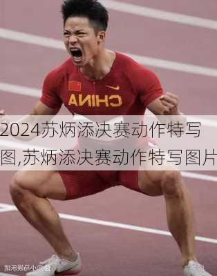 苏炳添决赛动作特写图,苏炳添决赛动作特写图片