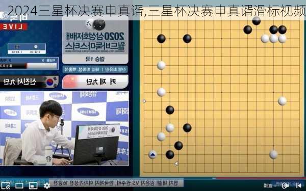 三星杯决赛申真谞,三星杯决赛申真谞滑标视频