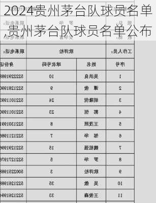贵州茅台队球员名单,贵州茅台队球员名单公布