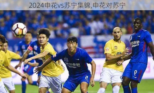 申花vs苏宁集锦,申花对苏宁