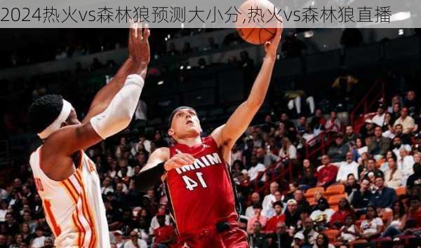 热火vs森林狼预测大小分,热火vs森林狼直播