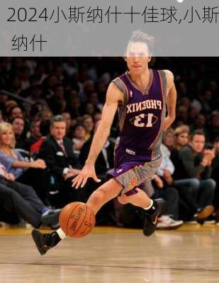 小斯纳什十佳球,小斯 纳什