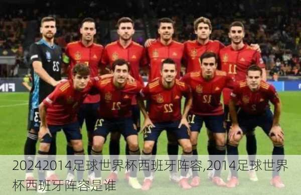 2014足球世界杯西班牙阵容,2014足球世界杯西班牙阵容是谁