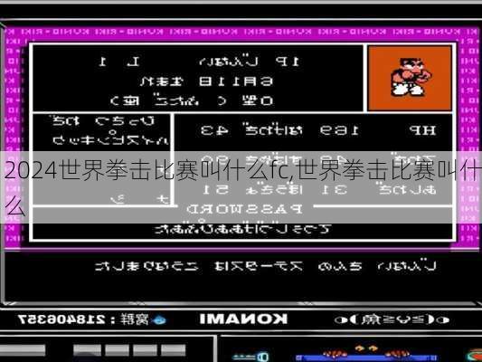 世界拳击比赛叫什么fc,世界拳击比赛叫什么