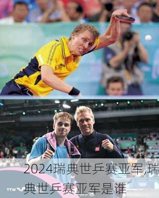 瑞典世乒赛亚军,瑞典世乒赛亚军是谁
