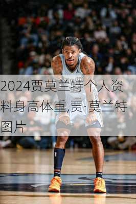 贾莫兰特个人资料身高体重,贾·莫兰特图片