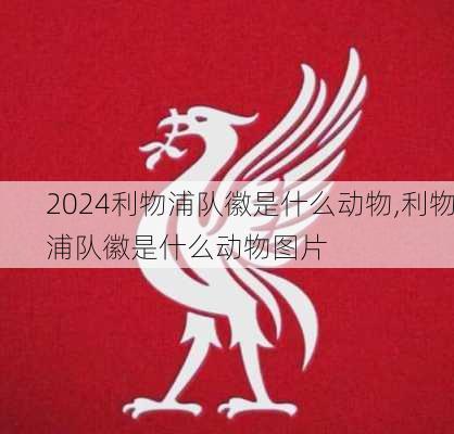 利物浦队徽是什么动物,利物浦队徽是什么动物图片