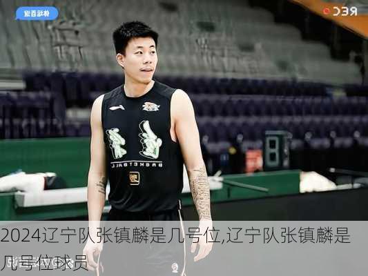 辽宁队张镇麟是几号位,辽宁队张镇麟是几号位球员