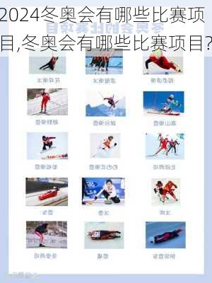 冬奥会有哪些比赛项目,冬奥会有哪些比赛项目?