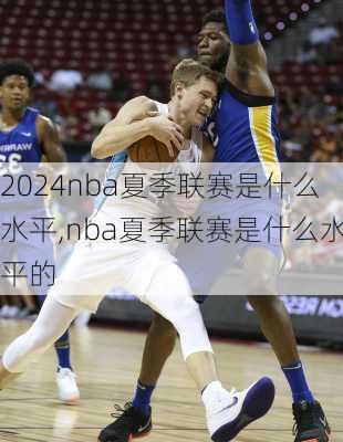 nba夏季联赛是什么水平,nba夏季联赛是什么水平的