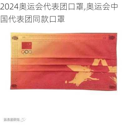 奥运会代表团口罩,奥运会中国代表团同款口罩
