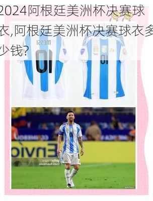 阿根廷美洲杯决赛球衣,阿根廷美洲杯决赛球衣多少钱?
