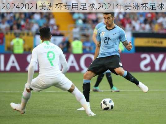 2021美洲杯专用足球,2021年美洲杯足球