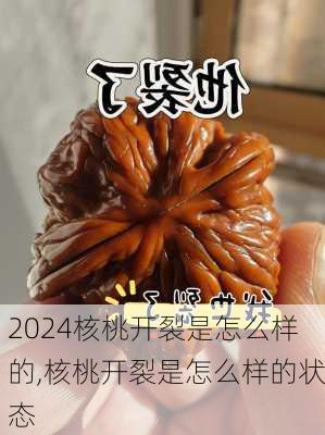 核桃开裂是怎么样的,核桃开裂是怎么样的状态