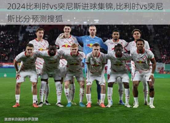 比利时vs突尼斯进球集锦,比利时vs突尼斯比分预测搜狐