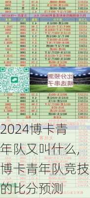 博卡青年队又叫什么,博卡青年队竞技的比分预测