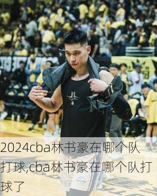 cba林书豪在哪个队打球,cba林书豪在哪个队打球了