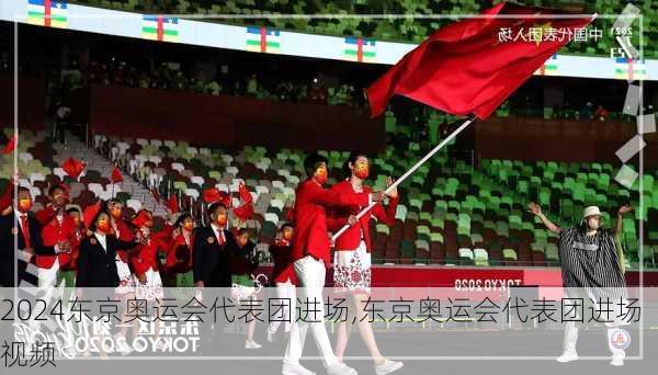 东京奥运会代表团进场,东京奥运会代表团进场视频