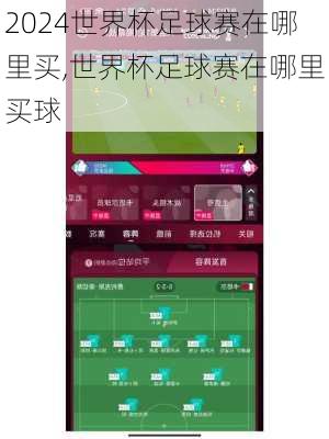 世界杯足球赛在哪里买,世界杯足球赛在哪里买球