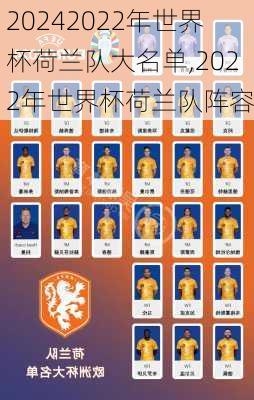 2022年世界杯荷兰队大名单,2022年世界杯荷兰队阵容