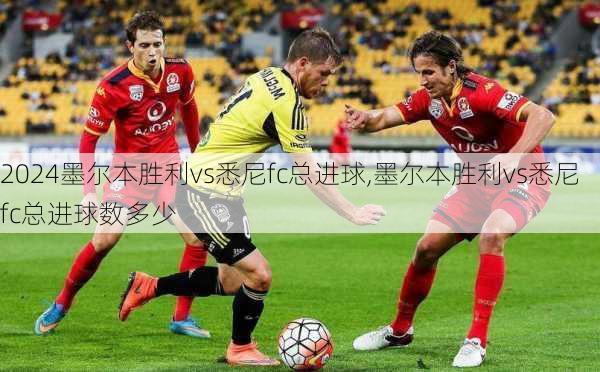 墨尔本胜利vs悉尼fc总进球,墨尔本胜利vs悉尼fc总进球数多少