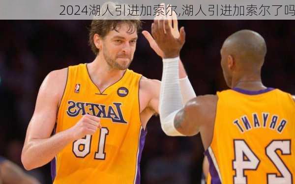 湖人引进加索尔,湖人引进加索尔了吗