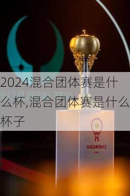 混合团体赛是什么杯,混合团体赛是什么杯子