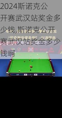 斯诺克公开赛武汉站奖金多少钱,斯诺克公开赛武汉站奖金多少钱啊
