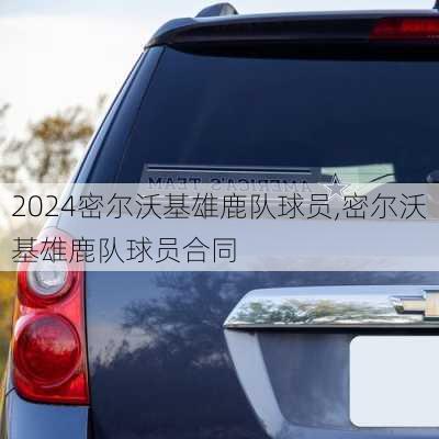 密尔沃基雄鹿队球员,密尔沃基雄鹿队球员合同