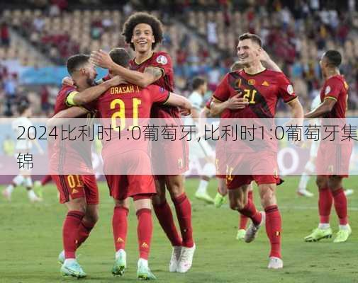 比利时1:0葡萄牙,比利时1:0葡萄牙集锦