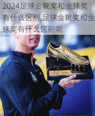 足球金靴奖和金球奖有什么区别,足球金靴奖和金球奖有什么区别呢