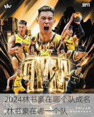 林书豪在哪个队成名,林书豪在哪一个队