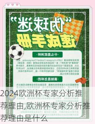 欧洲杯专家分析推荐理由,欧洲杯专家分析推荐理由是什么