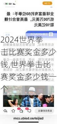 世界拳击比赛奖金多少钱,世界拳击比赛奖金多少钱一个