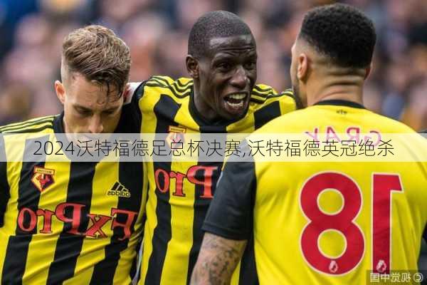 沃特福德足总杯决赛,沃特福德英冠绝杀