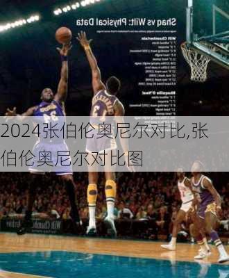 张伯伦奥尼尔对比,张伯伦奥尼尔对比图