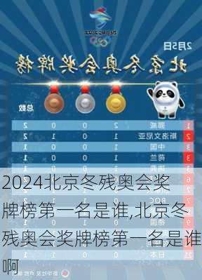 北京冬残奥会奖牌榜第一名是谁,北京冬残奥会奖牌榜第一名是谁啊