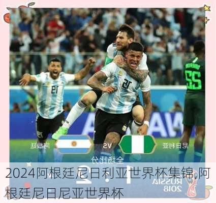 阿根廷尼日利亚世界杯集锦,阿根廷尼日尼亚世界杯