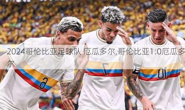 哥伦比亚足球队 厄瓜多尔,哥伦比亚1:0厄瓜多尔