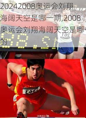 2008奥运会刘翔海阔天空是哪一期,2008奥运会刘翔海阔天空是哪一期的