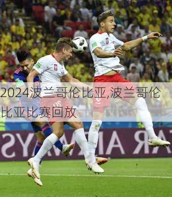 波兰哥伦比亚,波兰哥伦比亚比赛回放