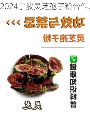 宁波灵芝孢子粉合作,