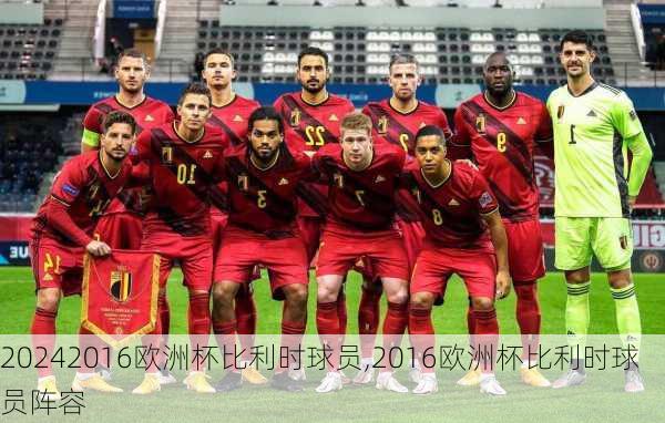 2016欧洲杯比利时球员,2016欧洲杯比利时球员阵容