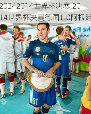 2014世界杯决赛,2014世界杯决赛德国1:0阿根廷
