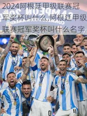 阿根廷甲级联赛冠军奖杯叫什么,阿根廷甲级联赛冠军奖杯叫什么名字