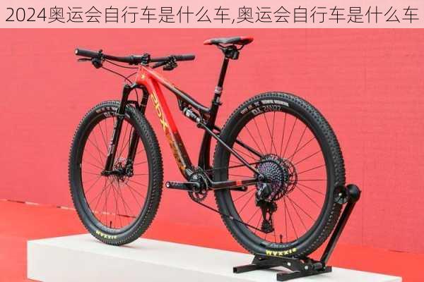 奥运会自行车是什么车,奥运会自行车是什么车