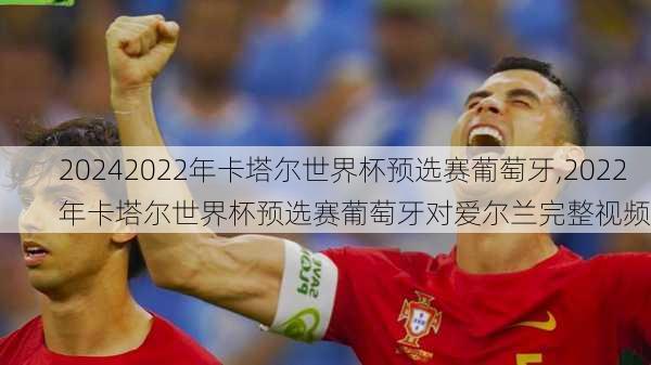 2022年卡塔尔世界杯预选赛葡萄牙,2022年卡塔尔世界杯预选赛葡萄牙对爱尔兰完整视频
