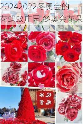 2022冬奥会的花蚂蚁庄园,冬奥会花朵