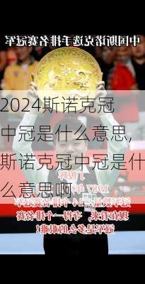 斯诺克冠中冠是什么意思,斯诺克冠中冠是什么意思啊