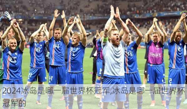 冰岛是哪一届世界杯冠军,冰岛是哪一届世界杯冠军的
